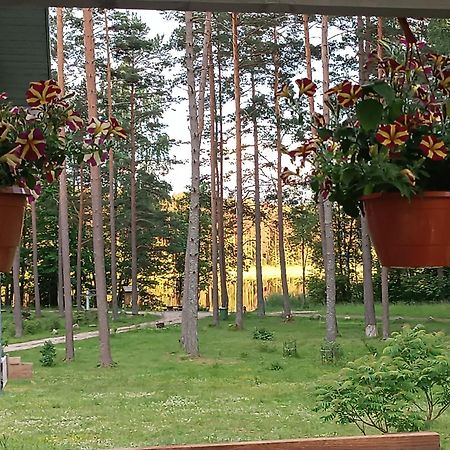 Dreamcatcher Straupe Exterior foto